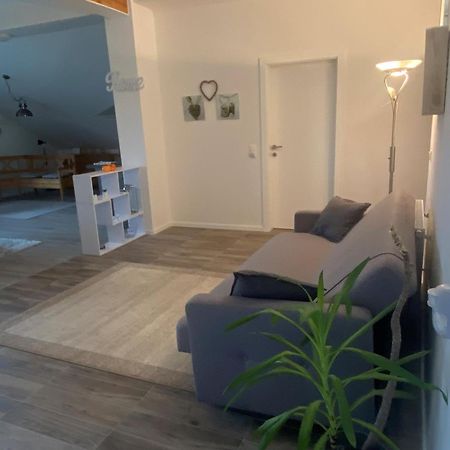 Penthouse N74 Linz 120 Qm Kids Welcome! Kültér fotó