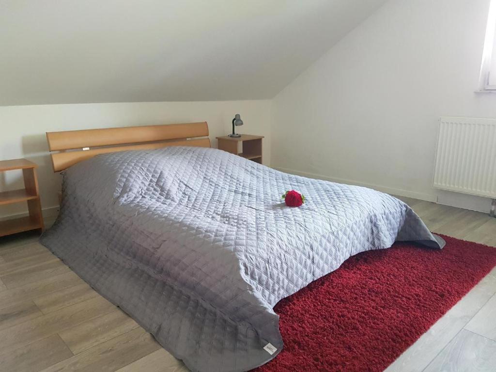 Penthouse N74 Linz 120 Qm Kids Welcome! Kültér fotó